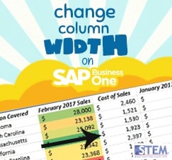 SAP Business One Tips - STEM SAP Gold Partner Indonesia - Change Your Column Width on SAP Business One