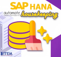 SAP Business One Tips - STEM SAP Gold Partner Indonesia - Setup Automate Housekeeping on HANA Server with Phyton Script for SAP B1