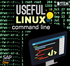 SAP Business One Tips - STEM SAP Gold Partner Indonesia - Important & Useful Command on LINUX for HANA Users