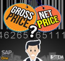 SAP Business One Tips - STEM SAP Gold Partner Indonesia - Choose Your Pricing Mode on SAP B1 Gross or Net