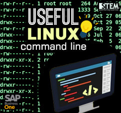 Command Linux Penting dan Berguna Bagi User HANA