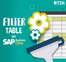 SAP Business One Tips - STEM SAP Gold Partner Indonesia - Using Filter Method on SAP B1