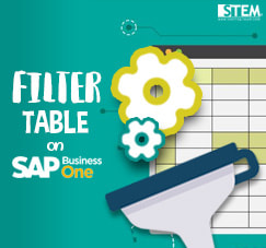 SAP Business One Tips - STEM SAP Gold Partner Indonesia - Using Filter Method on SAP B1