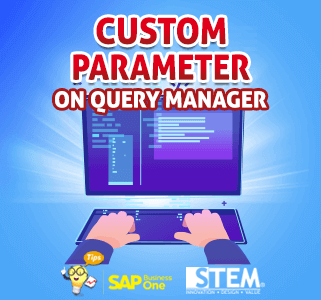 SAP Business One Tips Custom Parameter on Query Manager