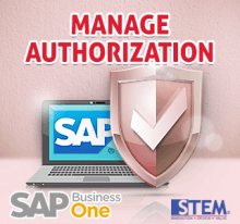SAP Business One Tips - Manage Authorization