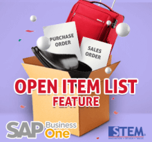SAP Business One Tips Open Item List