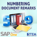 SAP Business One Numbering Document Remarks
