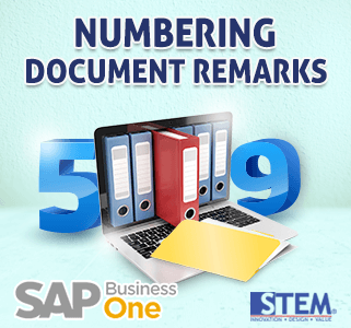 SAP Business One Numbering Document Remarks