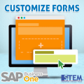 SAP Business One Tips Customize Forms with UI