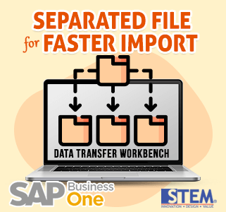 AP Business One Tips Faster Import