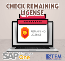 SAP Business One Tips Cek Sisa License yang Masih Dimiliki