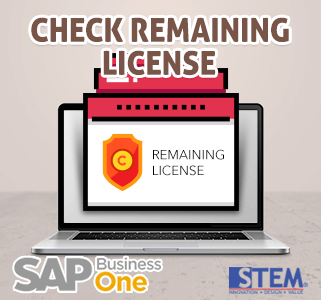 SAP Business One Tips Check Remaining License