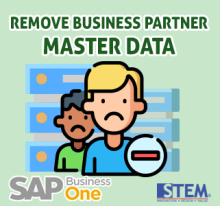 Bagaimana dan Apa saja kondisi untuk kita dapat menghapus Business Partner Master Data di SAP Business One