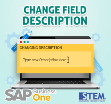 Mengubah Deskripsi Field di SAP Business One