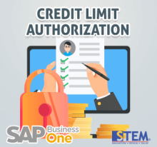 Otorisasi Credit Limit di SAP Business One