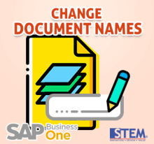 Ubah Nama Document di SAP Business One