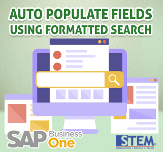 SAP Business One Tips Auto Populate Fields Using Search