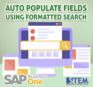 Otomatis Mengisi Data pada User Defined Fields menggunakan Formatted Search di SAP Business One