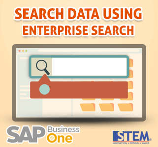 SAP Business One Tips Search Data using Enterprise