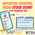 SAP Business One Importing Counting