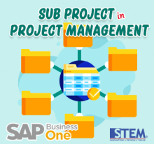 SAP Business One Sub Project