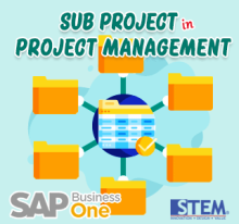 Sub Project dalam Project Management di SAP Business One
