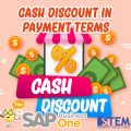 SAP Business One Tips Cash Discount in Payment