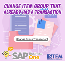 Merubah Item Group pada Item yang sudah mempunyai transaksi di SAP B1