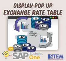 SAP Business One Indonesia Tips Display Popup Exchange Rate Table