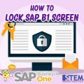 SAP-Business-One-Tips-How-To-Lock-SAP-B1-Screen-