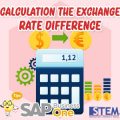 SAP Business One Indonesia Tips Calculation The Exchange Rate Difference