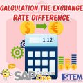 SAP Business One Indonesia Tips Calculation The Exchange Rate Difference