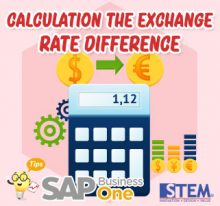 SAP Business One Indonesia Tips Calculation The Exchange Rate Difference