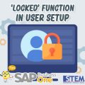 SAP Busines One Indonesia Tips Locked Function in User Setup