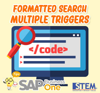 Format Pemicu Pencarian Multiple di SAP Business One