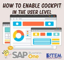 SAP Business One Tips How to Enable Cockpit Features