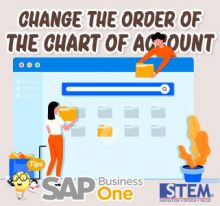 SAP Business One Tips Indonesia Change The Order of The Chart of Account