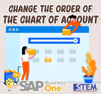 SAP Business One Tips Indonesia Change The Order of The Chart of Account