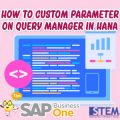 SAP Business One Tips Indonesia Custom Parameter on Query Manager on HANA