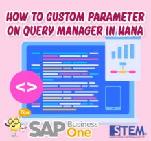SAP Business One Tips Indonesia Custom Parameter on Query Manager on HANA