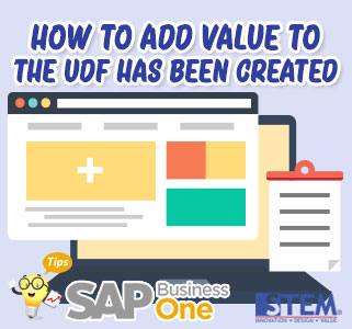 SAP Business One Tips Indonesia How to Add Value to The UDF Has Been Created