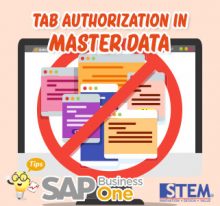 SAP Business One Tips Indonesia Tab Authorization in Master Data