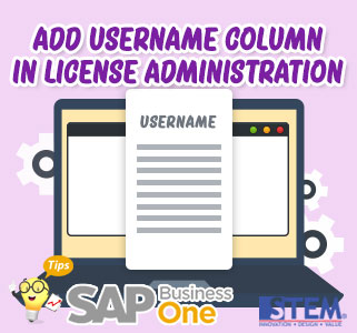 Kolom Username pada License Administration di SAP Business One