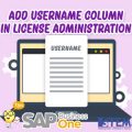 SAP Business One Tips Username Column in License Administration