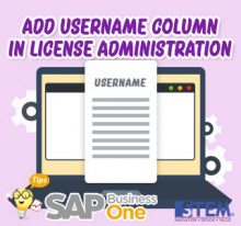 SAP Business One Tips Username Column in License Administration