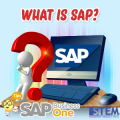 What is SAP