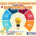 SAP Business One Cycle Count Determination