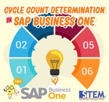 SAP Business One Cycle Count Determination