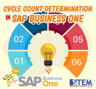 SAP Business One Cycle Count Determination