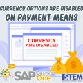 SAP Business One Indonesia Tips Currency Options Are Disabled